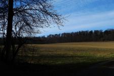 Steinbruch-lutter (8)