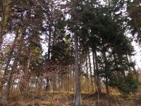 Steinbruch-lutter (7)